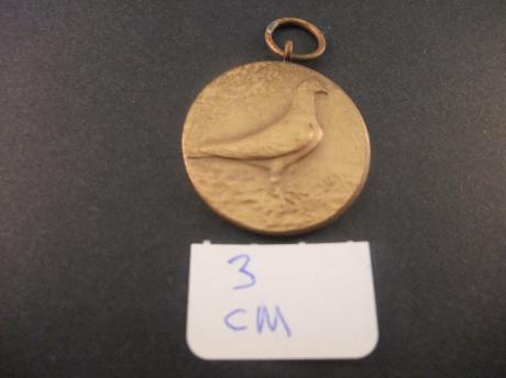 Duif duivensport bronskleurig 3 cm doorsnede penning
